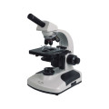 Microscope numérique 1600X avec homologation CE, microscope binoculaire,